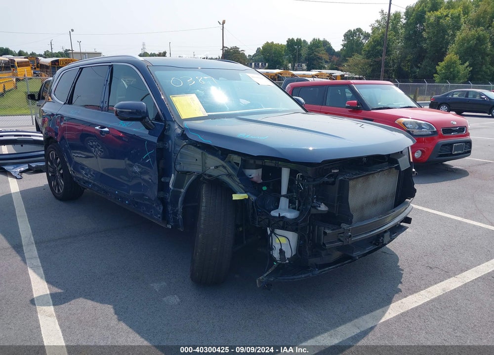 2024 KIA TELLURIDE SX PRESTIGE VIN: 5XYP5DGC2RG420387