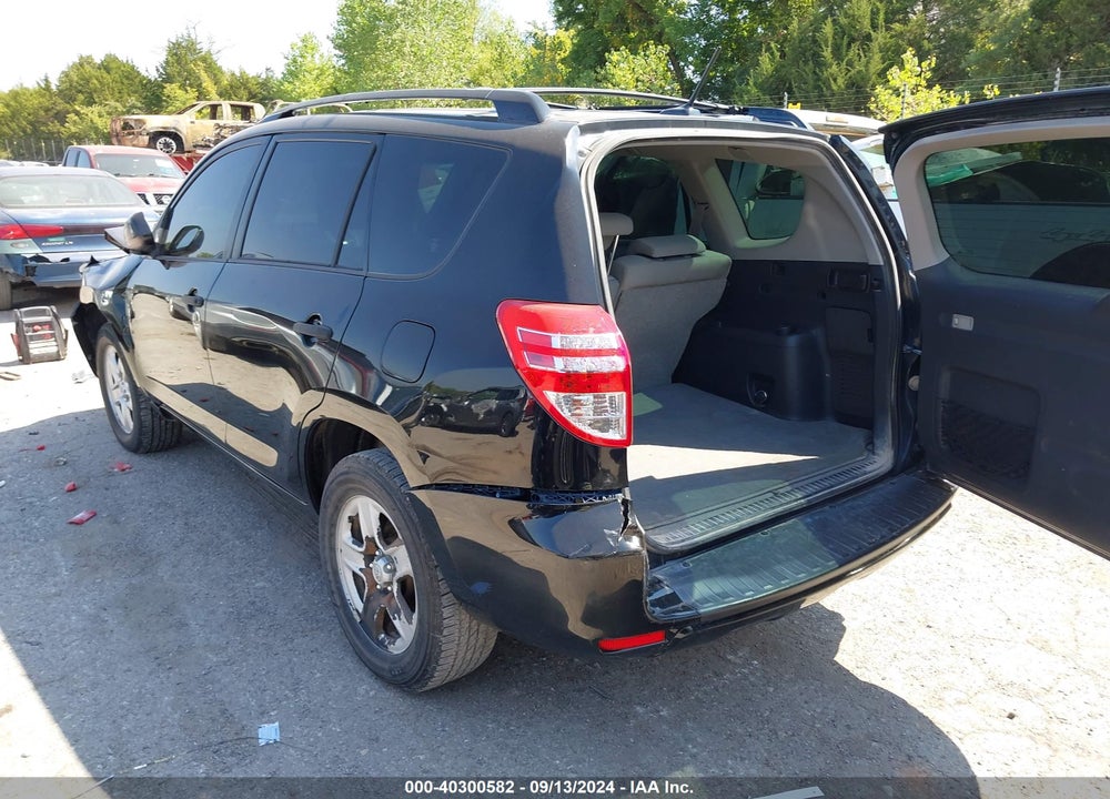 2009 TOYOTA RAV4 VIN: JTMZF33V695008117