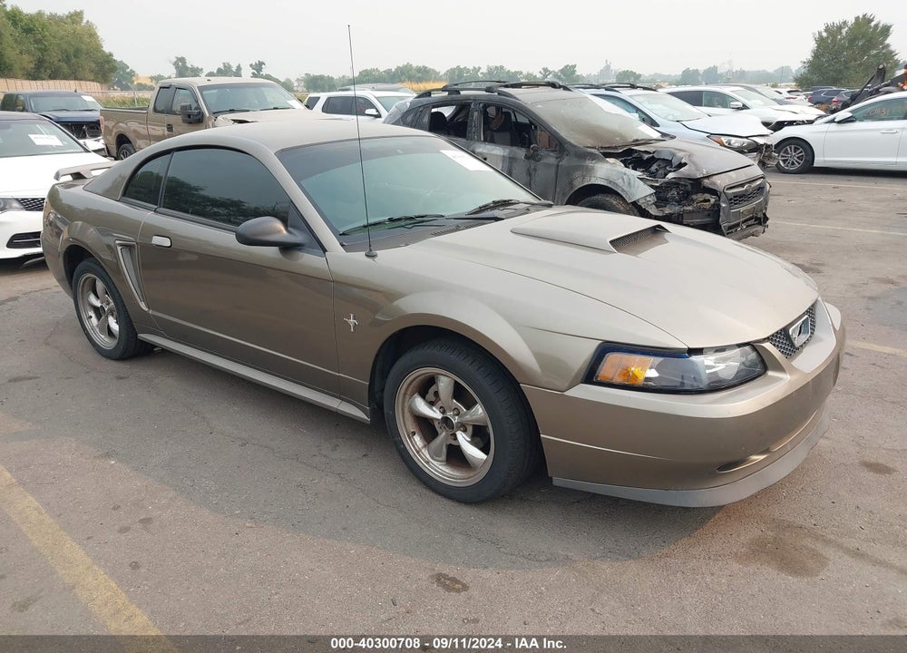 2002 FORD MUSTANG VIN: 1FAFP40482F142537