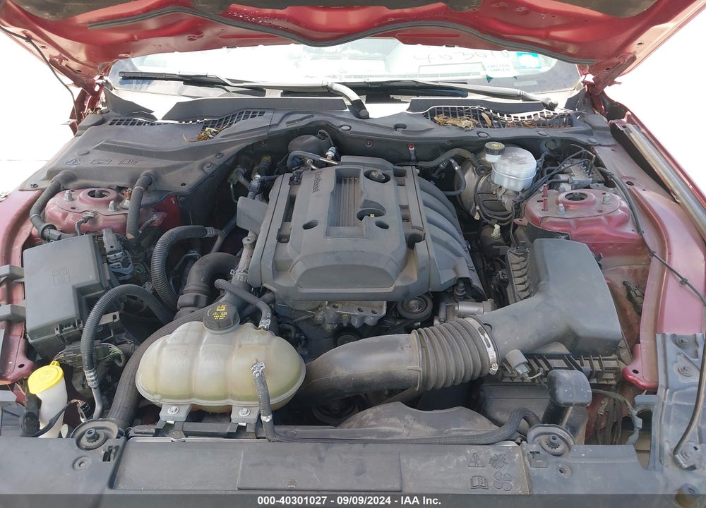2019 FORD MUSTANG ECOBOOST VIN: 1FA6P8TH1K5174922