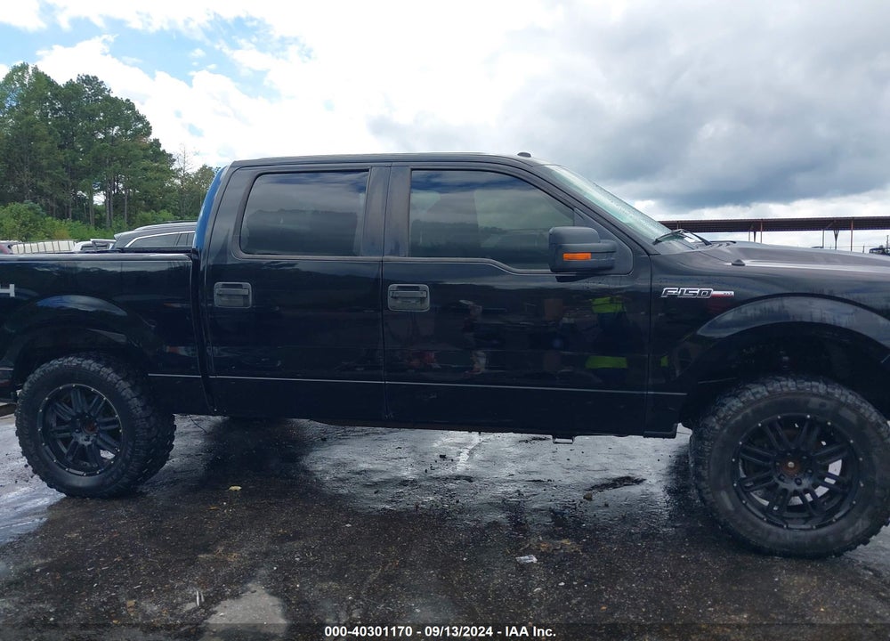 2009 FORD F-150 XLT VIN: 1FTPW14V59FB26180
