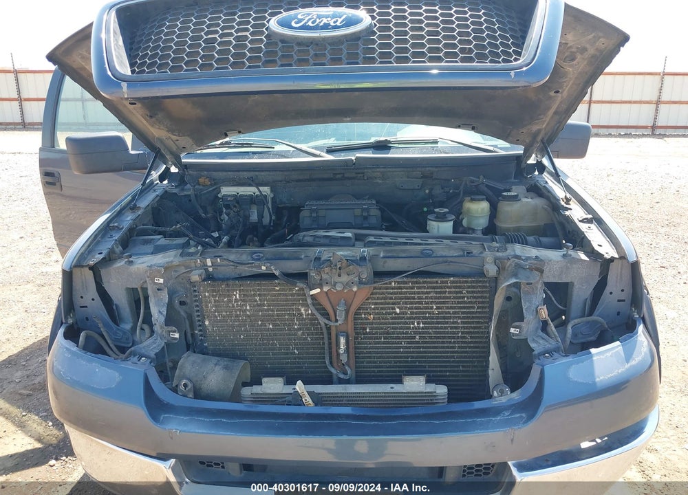 2004 FORD F-150 LARIAT/XL/XLT VIN: 1FTPX12574FA36683