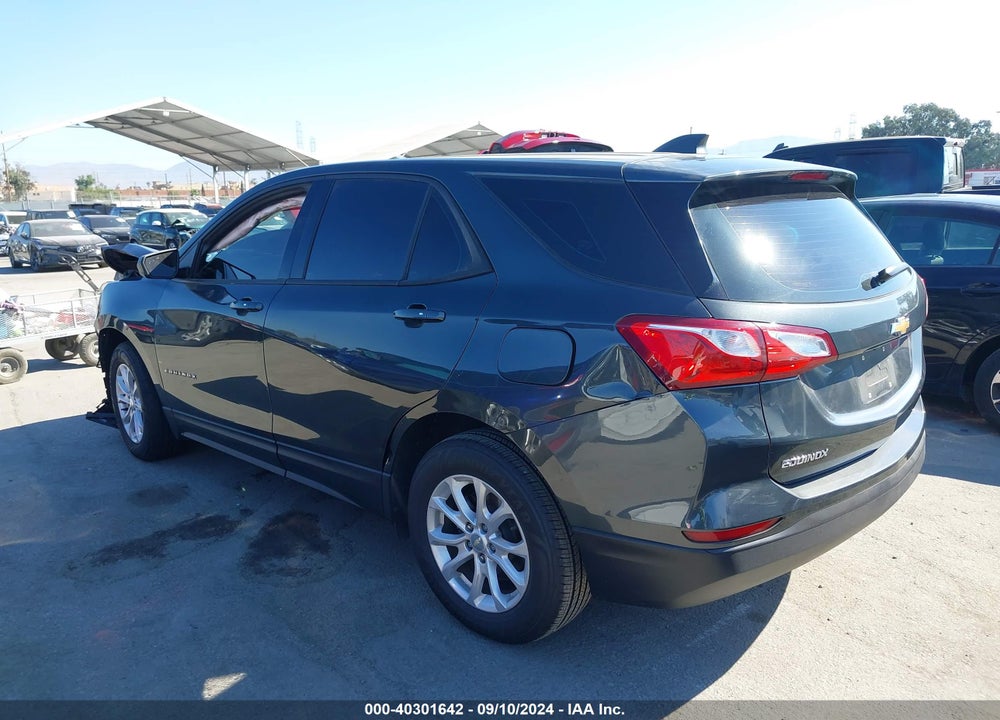 2019 CHEVROLET EQUINOX LS VIN: 3GNAXHEV2KS612688