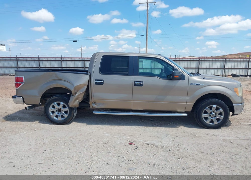 2013 FORD F-150 XLT VIN: 1FTFW1CF9DKE55860