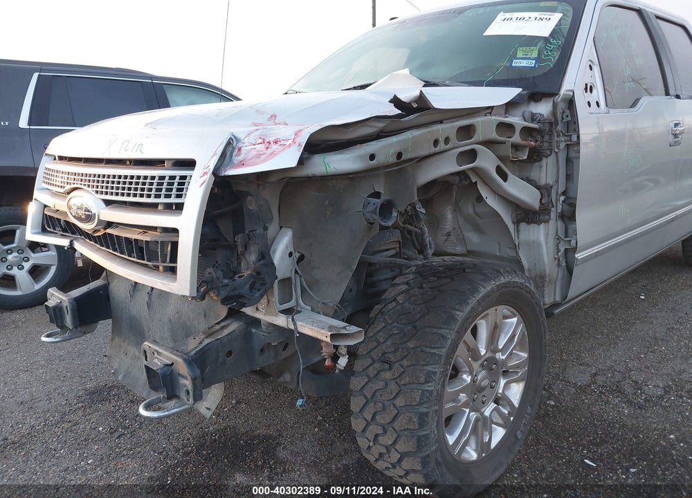 2009 FORD F-150 PLATINUM VIN: 1FTPW14V69FB32294