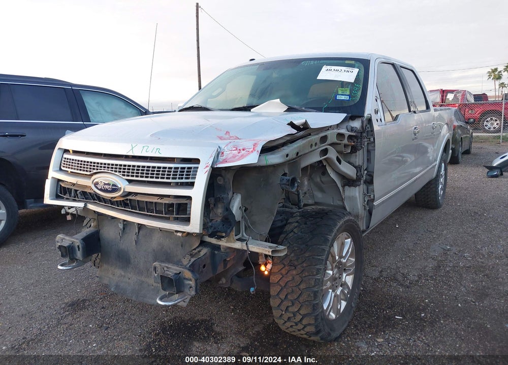 2009 FORD F-150 PLATINUM VIN: 1FTPW14V69FB32294