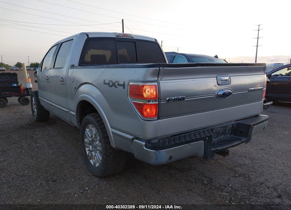 2009 FORD F-150 PLATINUM VIN: 1FTPW14V69FB32294