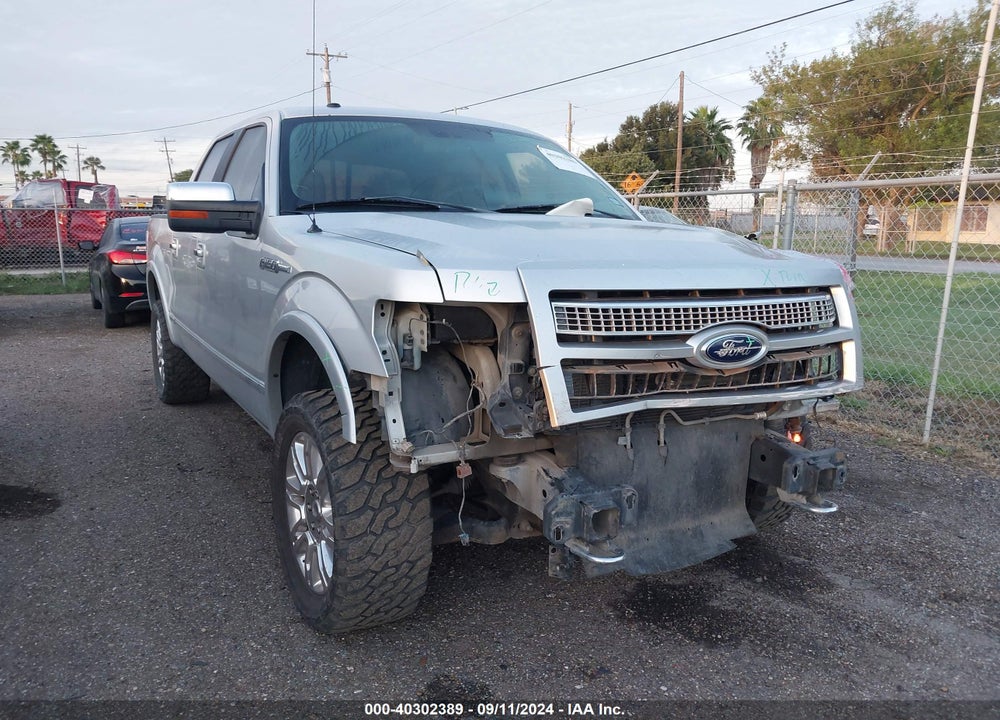 2009 FORD F-150 PLATINUM VIN: 1FTPW14V69FB32294