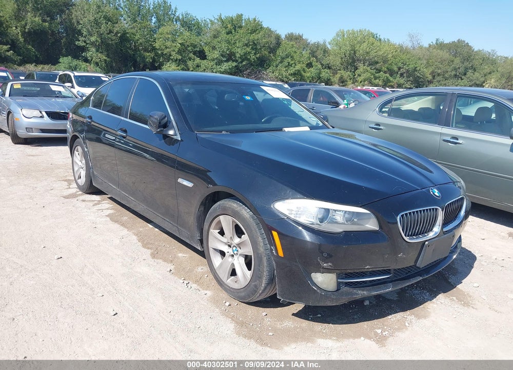 2013 BMW 528I VIN: WBAXG5C54DDY31933