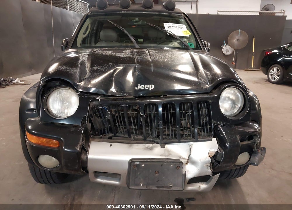 2003 JEEP LIBERTY RENEGADE VIN: 1J4GL38K23W644527