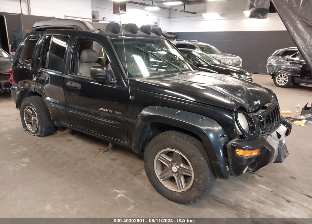 2003 JEEP LIBERTY RENEGADE VIN: 1J4GL38K23W644527