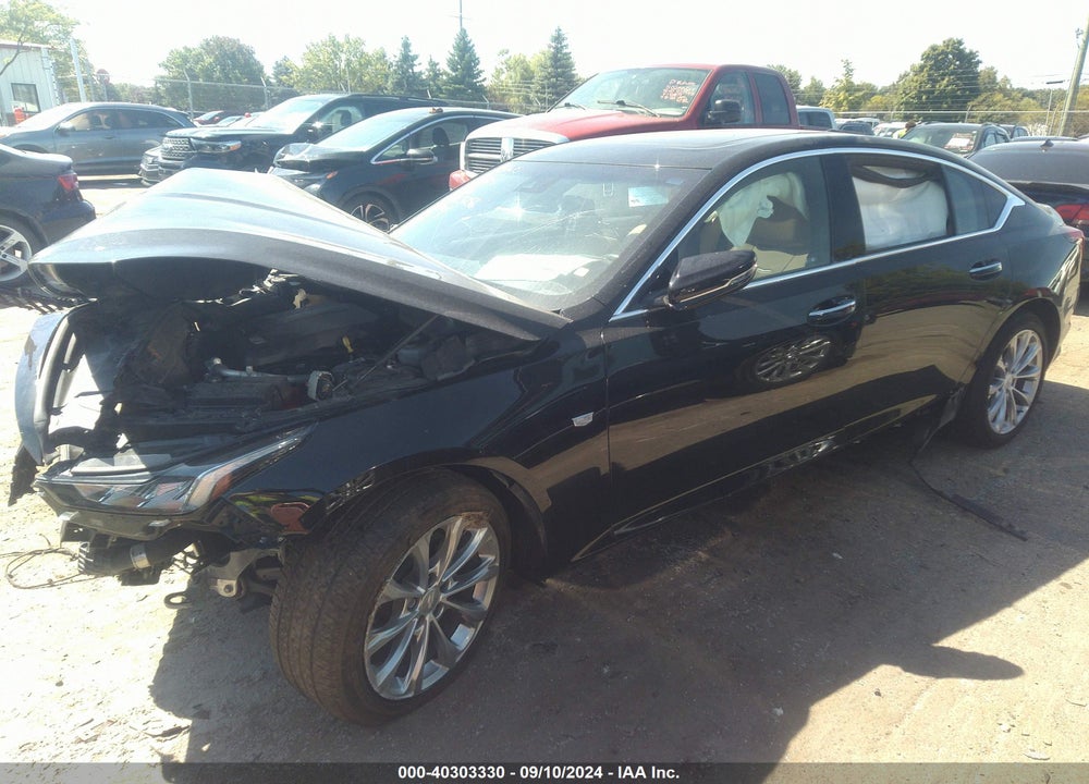 2022 CADILLAC CT5 PREMIUM LUXURY VIN: 1G6DT5RK0N0113256