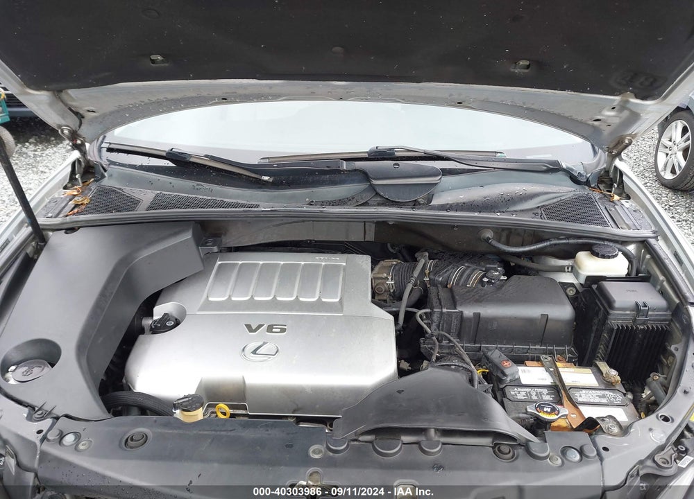 2009 LEXUS RX 350 VIN: 2T2HK31U59C117670