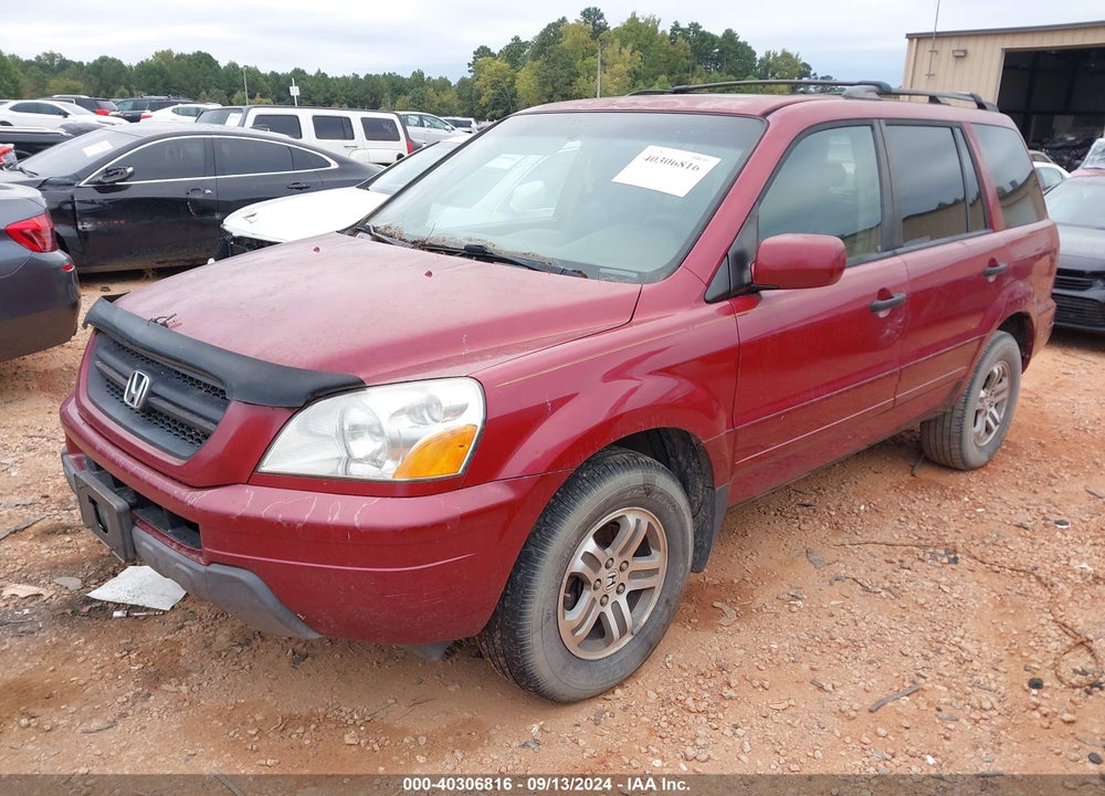 2005 HONDA PILOT EX-L VIN: 5FNYF18535B065912