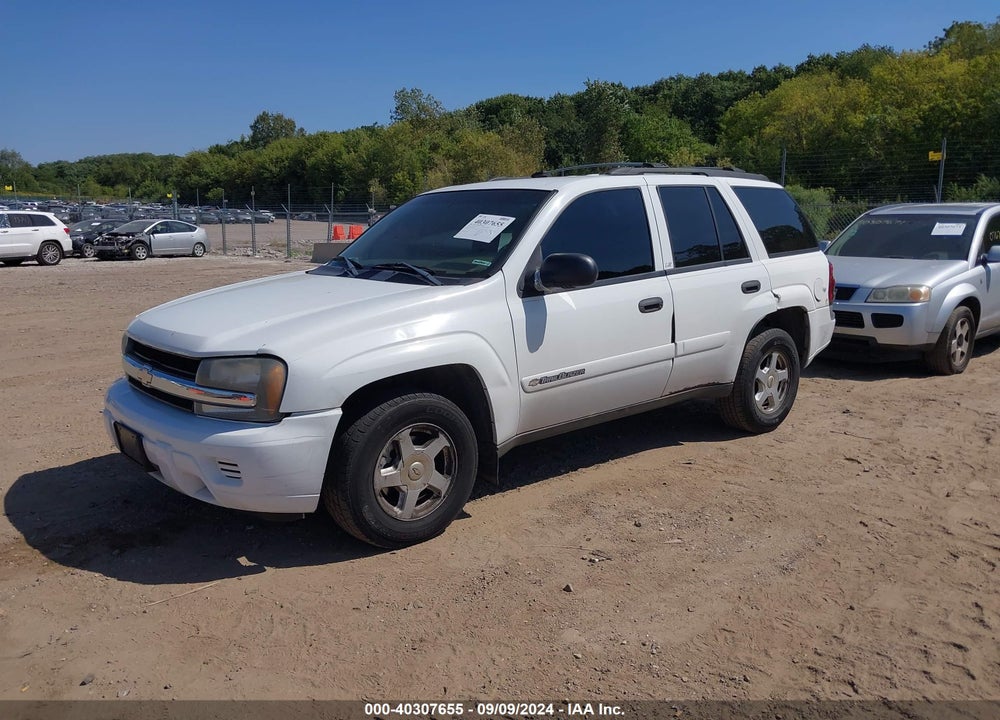 2002 CHEVROLET TRAILBLAZER LS VIN: 1GNDS13S822519651
