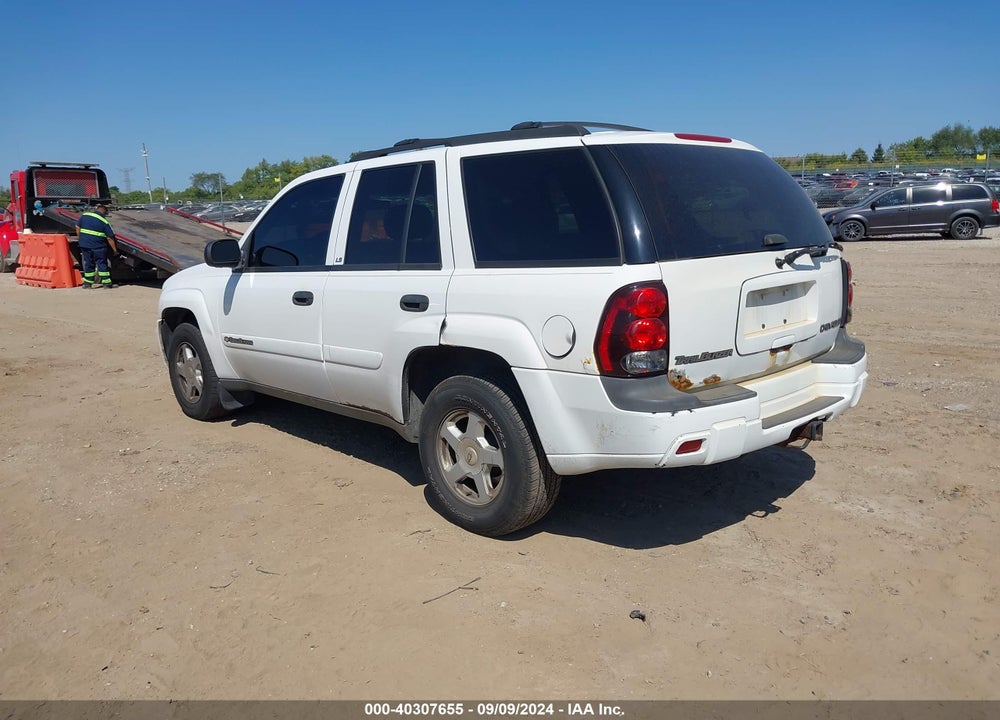 2002 CHEVROLET TRAILBLAZER LS VIN: 1GNDS13S822519651