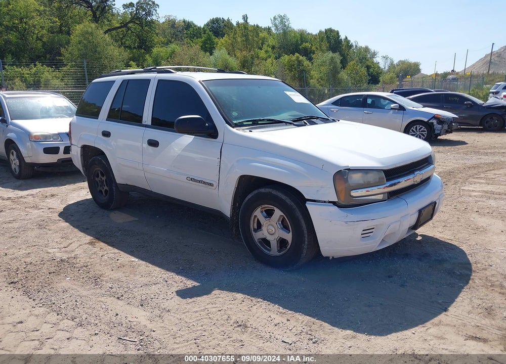 2002 CHEVROLET TRAILBLAZER LS VIN: 1GNDS13S822519651