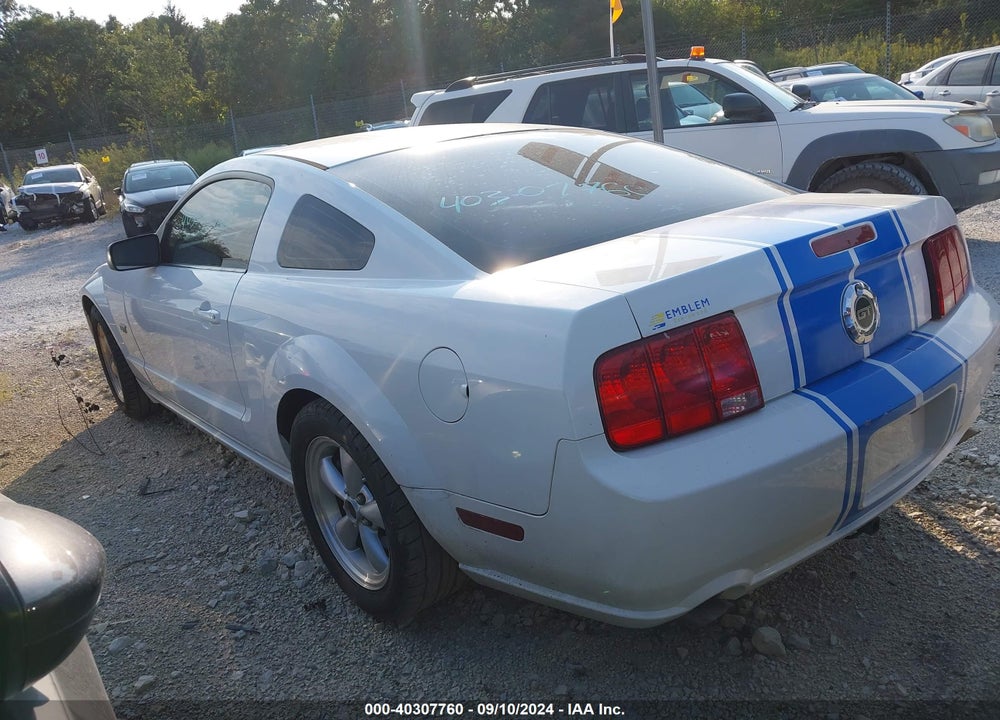 2008 FORD MUSTANG VIN: 1ZVHT82HX85193118