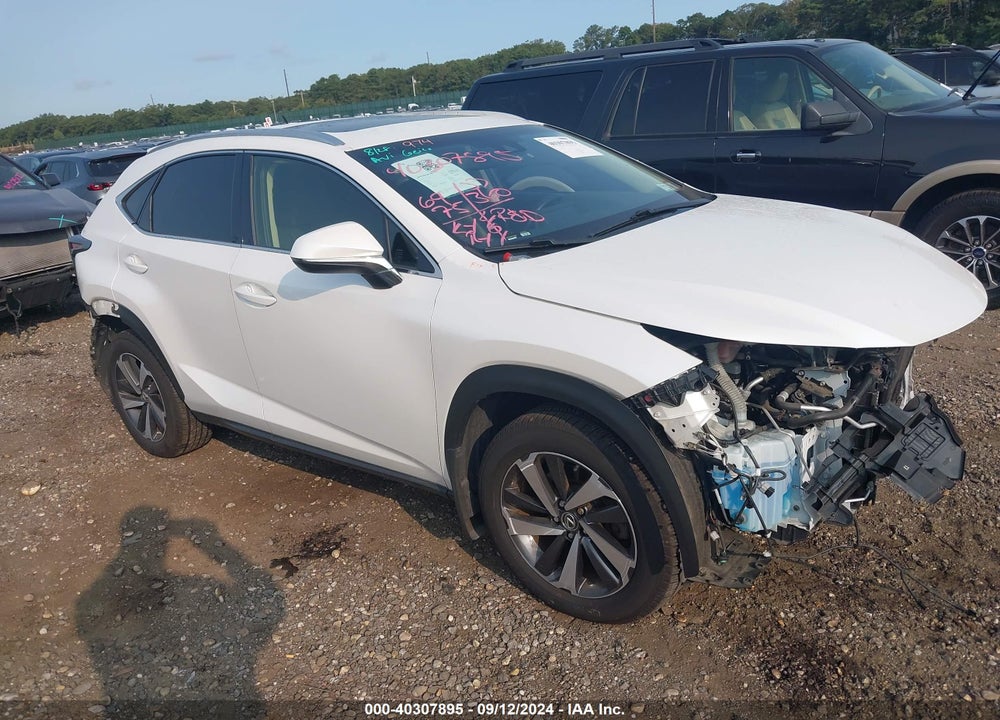 2019 LEXUS NX 300 VIN: JTJBARBZ5K2188041