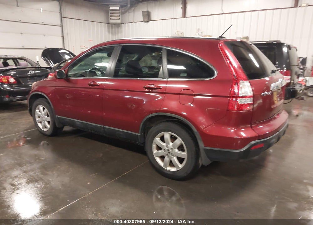 2009 HONDA CR-V EX-L VIN: 5J6RE48749L022106