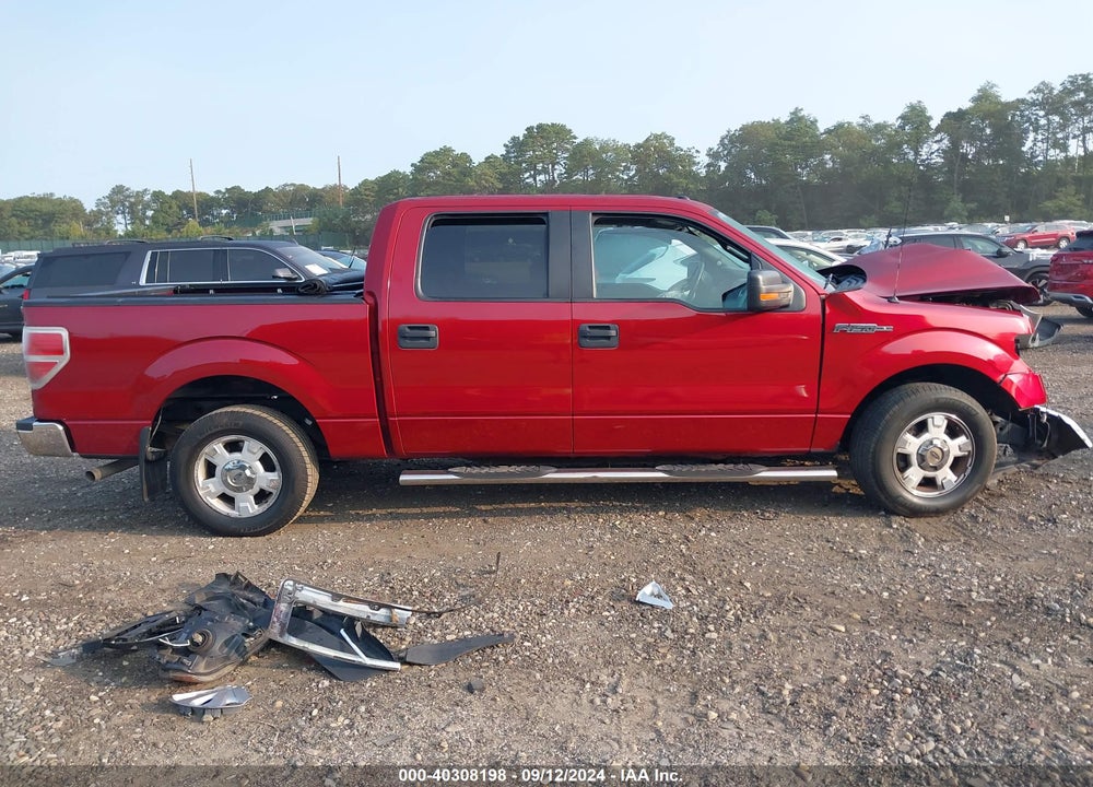 2013 FORD F-150 XLT VIN: 1FTEW1CM6DFC60916