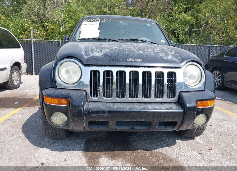 2002 JEEP LIBERTY LIMITED EDITION VIN: 1J4GL58K52W251681