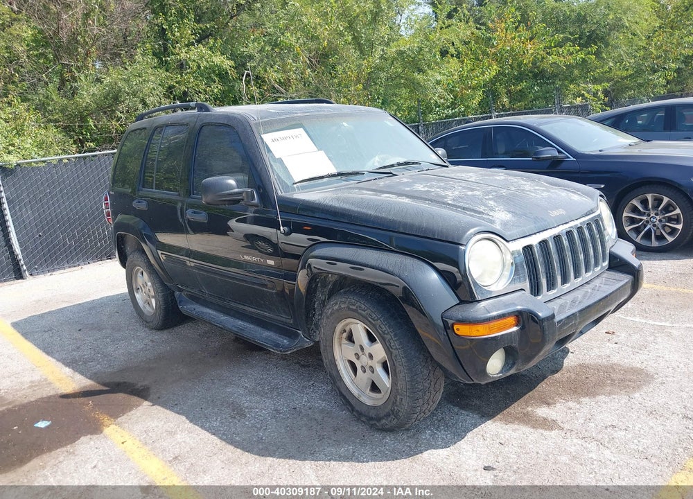 2002 JEEP LIBERTY LIMITED EDITION VIN: 1J4GL58K52W251681