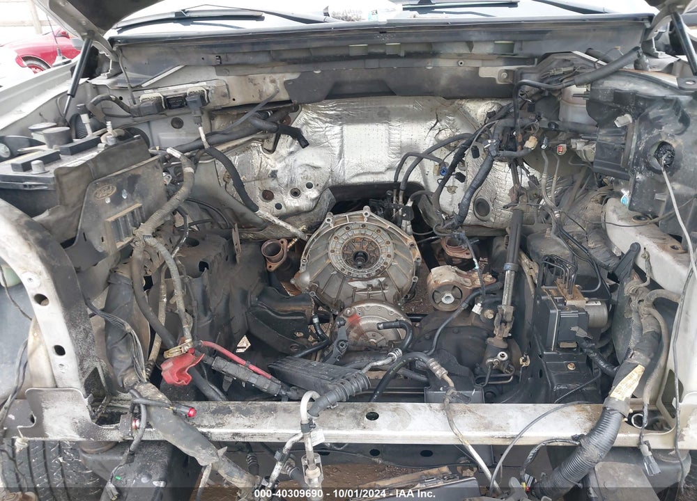 2010 FORD F-150 FX4/HARLEY-DAVIDSON/KING RANCH/LARIAT/PLATINUM/XL/XLT VIN: 1FTFW1EV0AFA70535