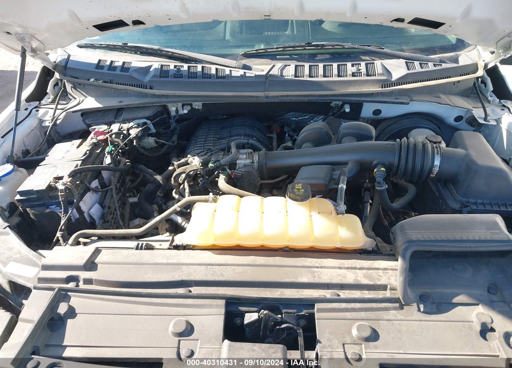 2019 FORD F-150 XL VIN: 1FTEX1CB5KKC61992