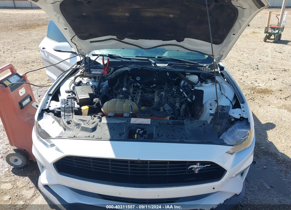 2019 FORD MUSTANG GT PREMIUM VIN: 1FA6P8CF1K5102178