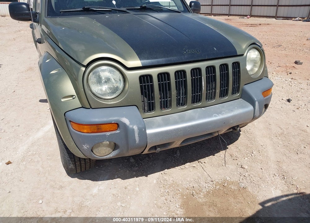 2002 JEEP LIBERTY RENEGADE VIN: 1J4GK38K92W301098