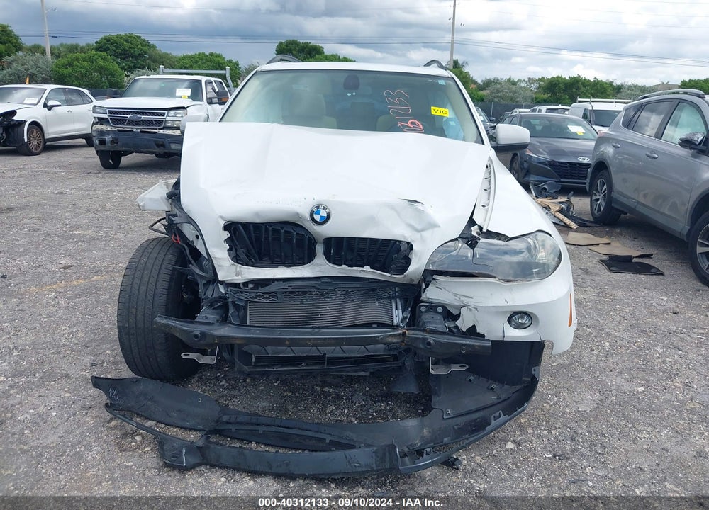 2009 BMW X5 XDRIVE30I VIN: 5UXFE43539L271638
