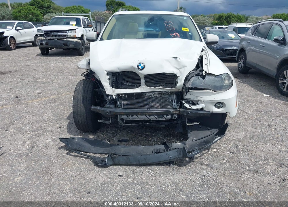 2009 BMW X5 XDRIVE30I VIN: 5UXFE43539L271638