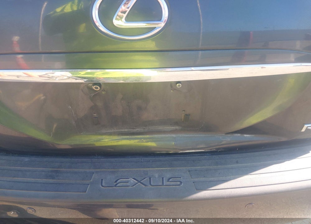 2007 LEXUS RX 350 VIN: 2T2GK31U17C008552