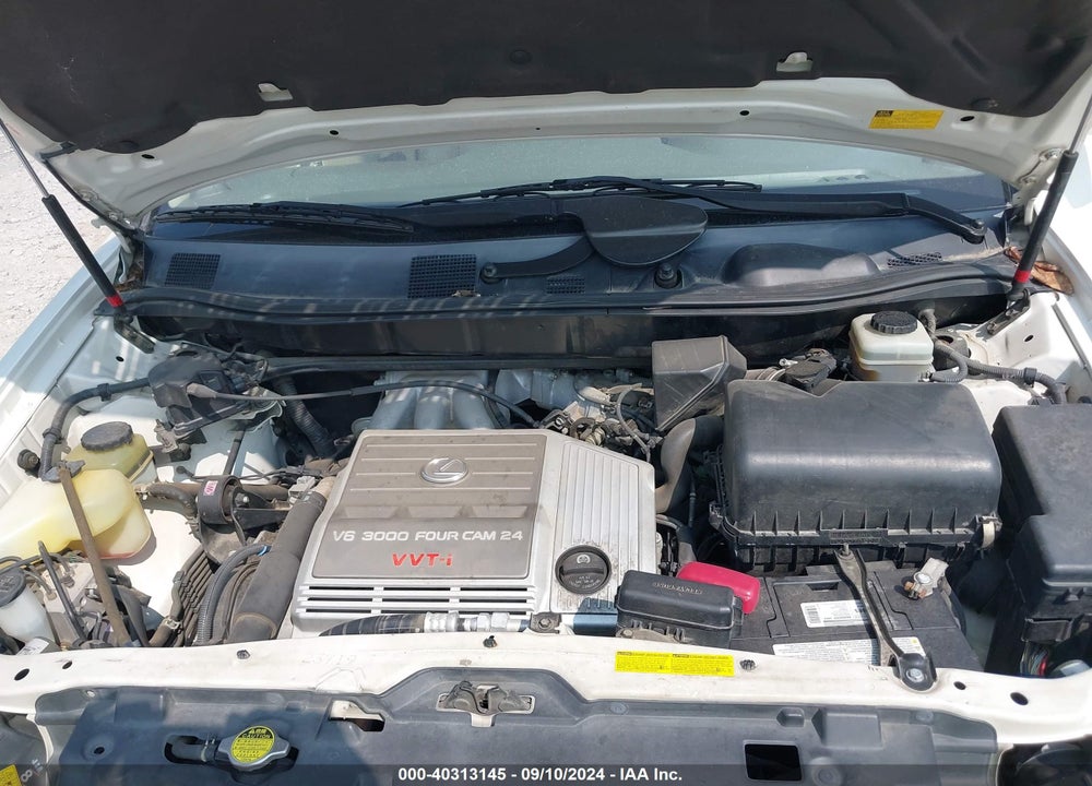 2002 LEXUS RX 300 VIN: JTJHF10U920248113