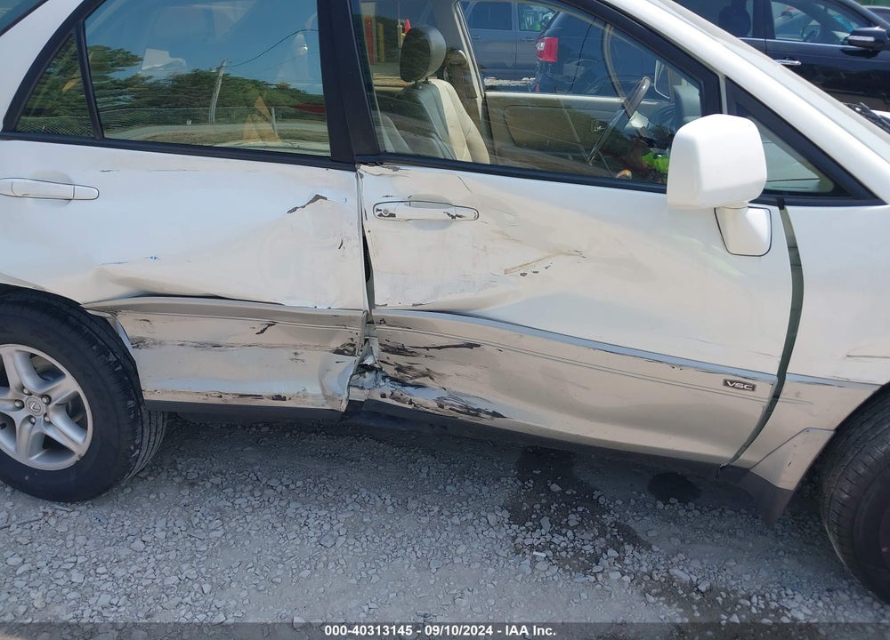 2002 LEXUS RX 300 VIN: JTJHF10U920248113