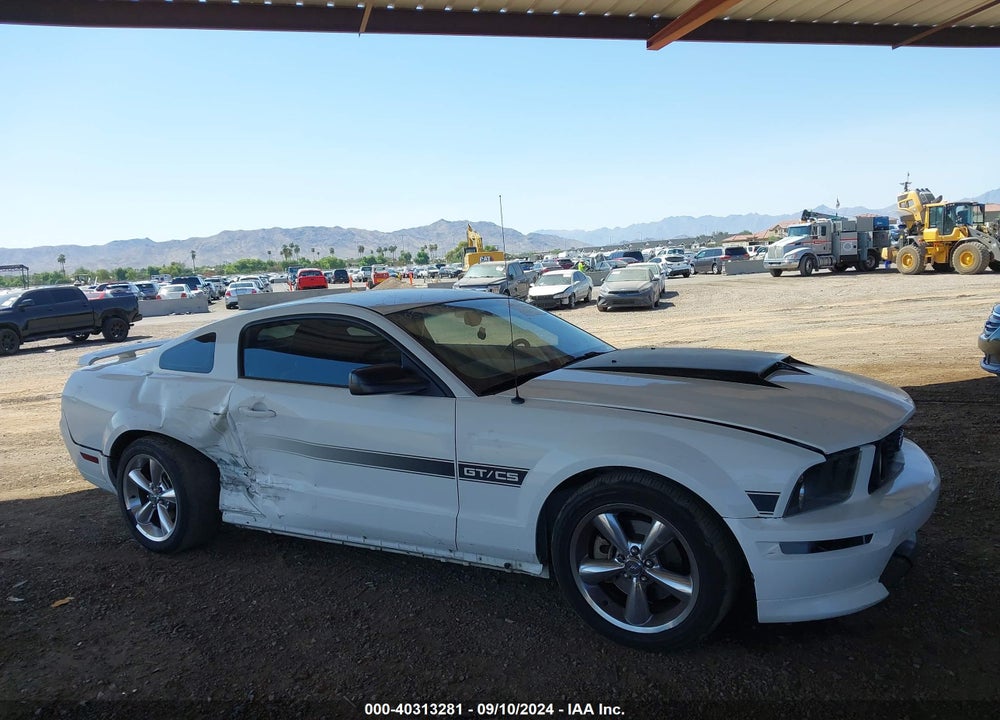 2007 FORD MUSTANG GT DELUXE/GT PREMIUM VIN: 1ZVHT82H975255428