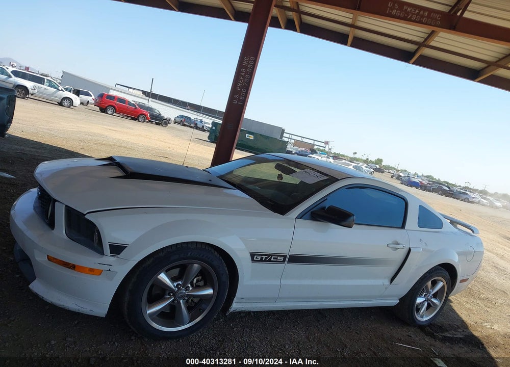 2007 FORD MUSTANG GT DELUXE/GT PREMIUM VIN: 1ZVHT82H975255428