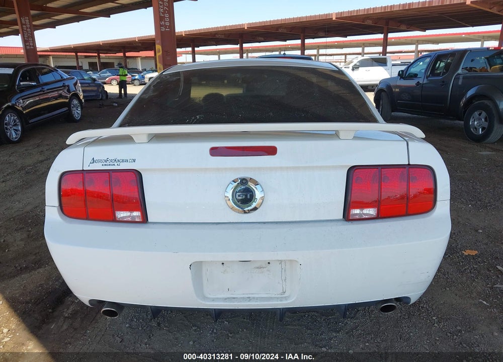 2007 FORD MUSTANG GT DELUXE/GT PREMIUM VIN: 1ZVHT82H975255428