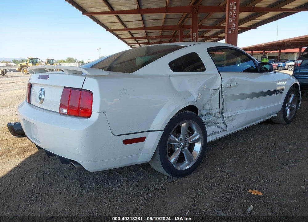 2007 FORD MUSTANG GT DELUXE/GT PREMIUM VIN: 1ZVHT82H975255428