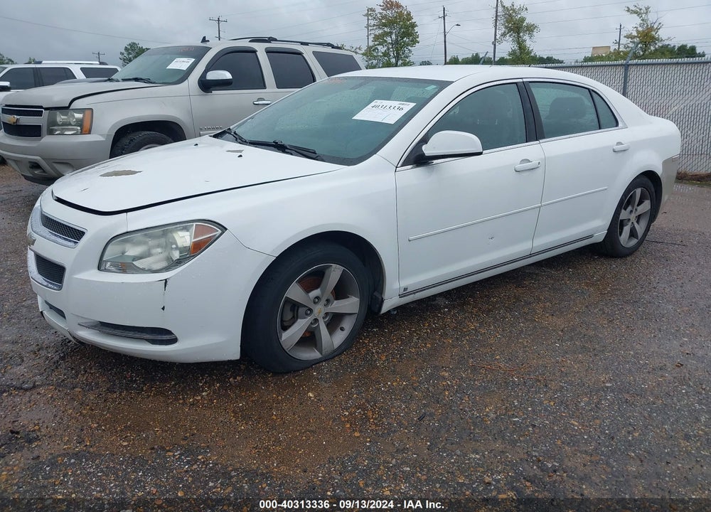 2009 CHEVROLET MALIBU LT VIN: 1G1ZJ57B59F216082