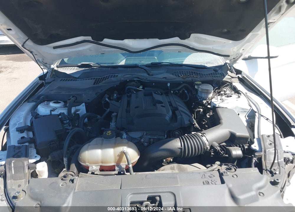 2020 FORD MUSTANG ECOBOOST PREMIUM FASTBACK VIN: 1FA6P8TH6L5120372