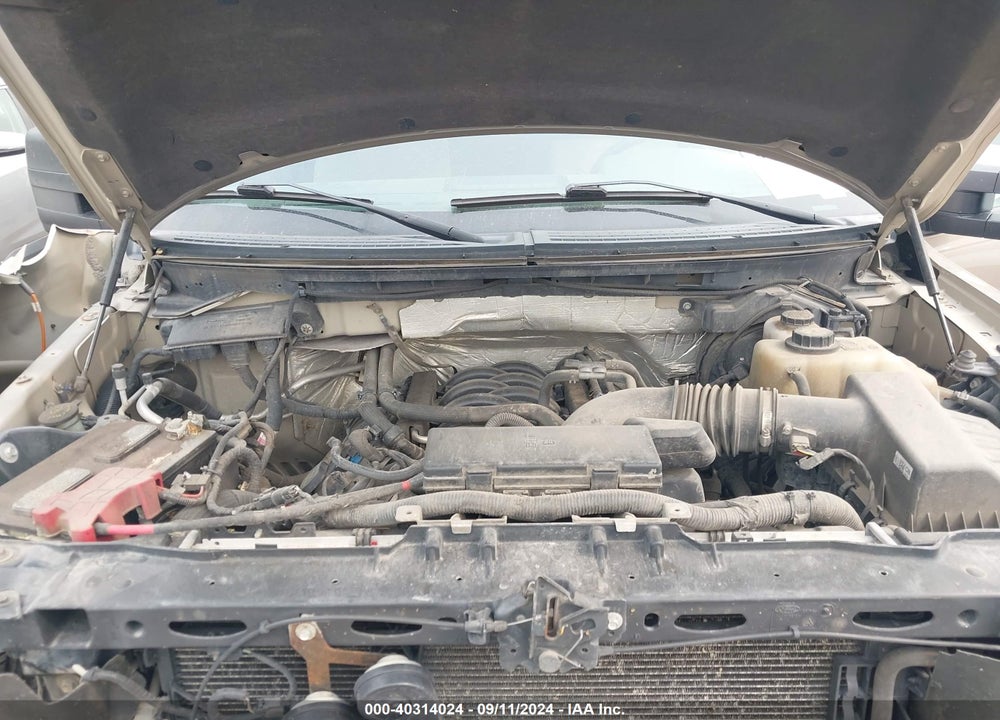2012 FORD F-150 VIN: 1FTFX1EF7CFB29492