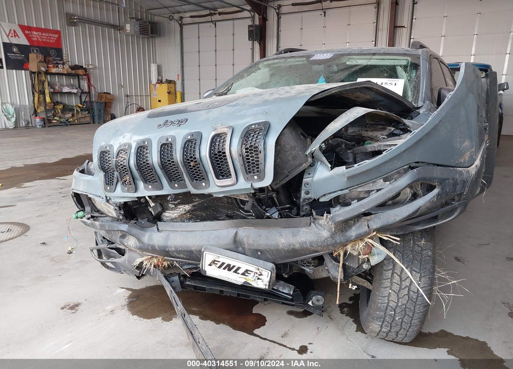 2015 JEEP CHEROKEE TRAILHAWK VIN: 1C4PJMBS9FW727127