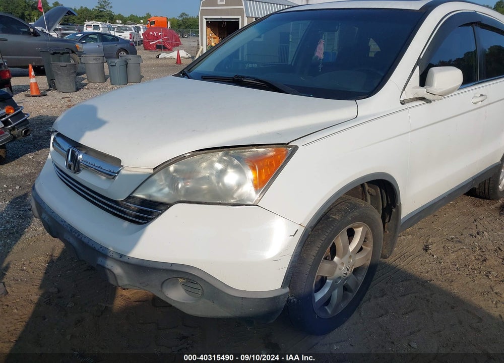 2009 HONDA CR-V EX-L VIN: JHLRE38709C006438