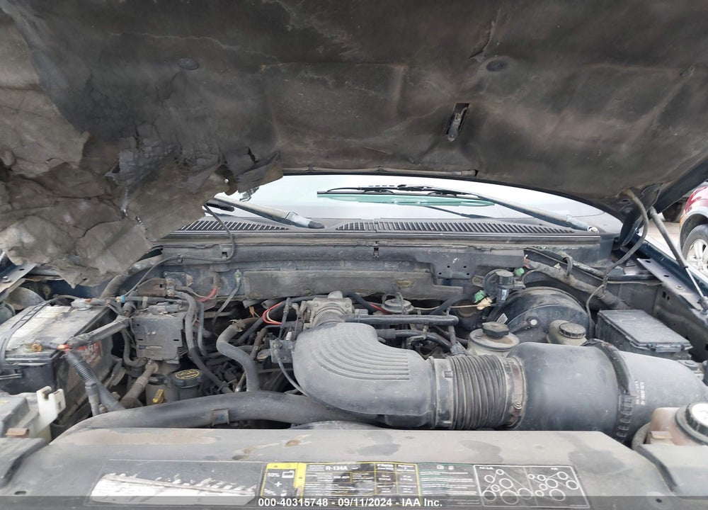 2001 FORD F-150 LARIAT/XL/XLT VIN: 1FTRX17L21NB90493