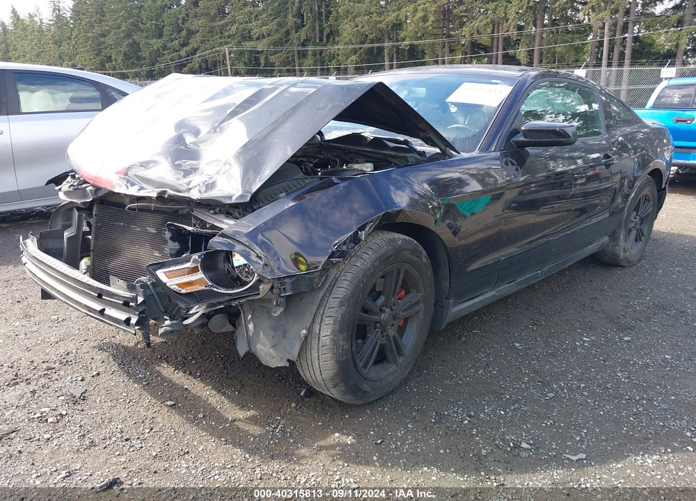 2012 FORD MUSTANG V6 PREMIUM VIN: 1ZVBP8AM8C5225128
