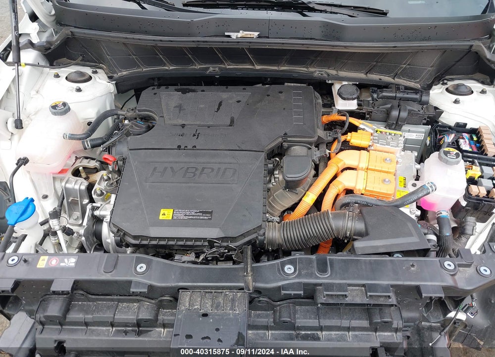 2024 KIA NIRO EX VIN: KNDCR3LE5R5174951