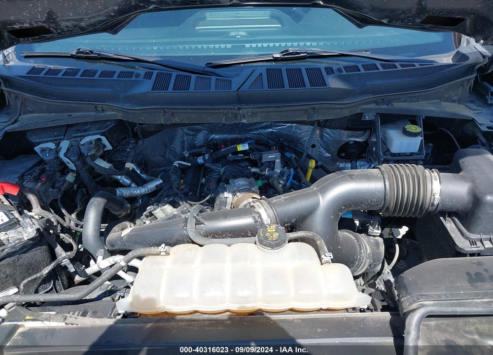 2021 FORD F-150 XL VIN: 1FTEW1EP7MFA70842