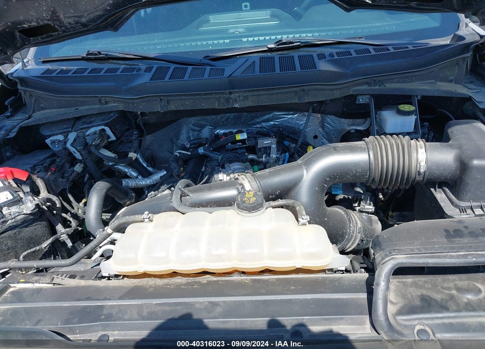2021 FORD F-150 XL VIN: 1FTEW1EP7MFA70842